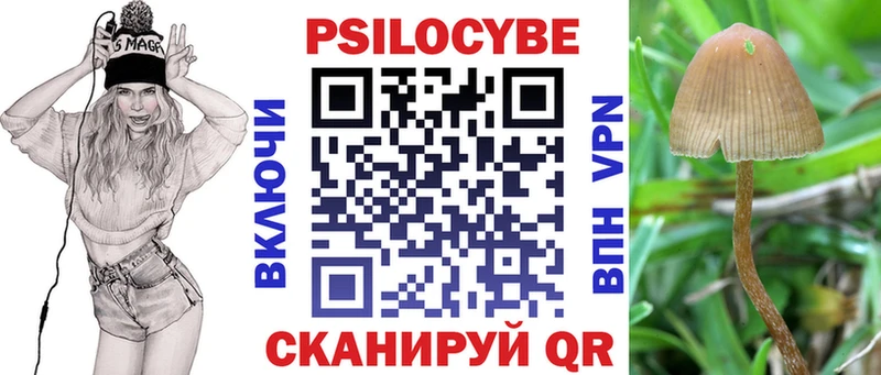 купить   Абаза  Галлюциногенные грибы мухоморы 
